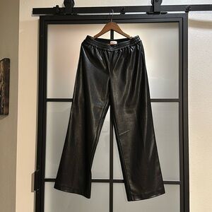 Aritzia Babaton Vegan Leather Pant